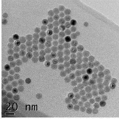 Method for transferring nano-particles from oil phase into aqueous phase