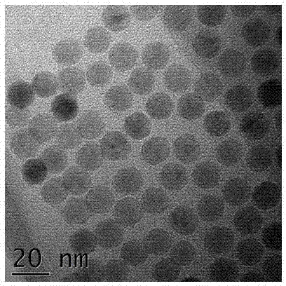 Method for transferring nano-particles from oil phase into aqueous phase