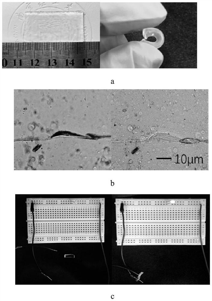 Method for preparing electric response drug control system by zinc oxide nanoparticle-mediated high-toughness hydrogel