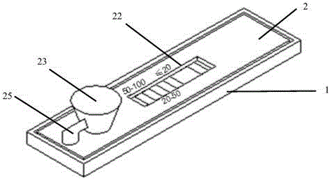 Urinary microalbumin detection apparatus