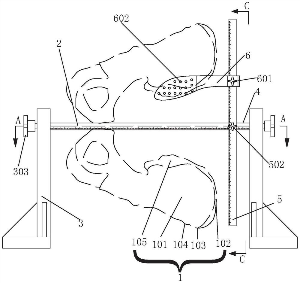 Bone marrow blood puncture point positioning, extracting and anti-coagulation device