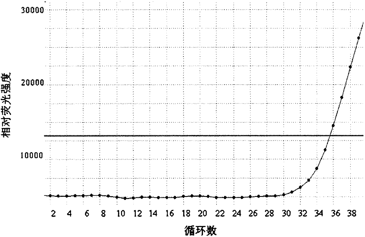 Primer, probe and kit for detecting mutation of 1737 to 1738 sites of C-KIT gene