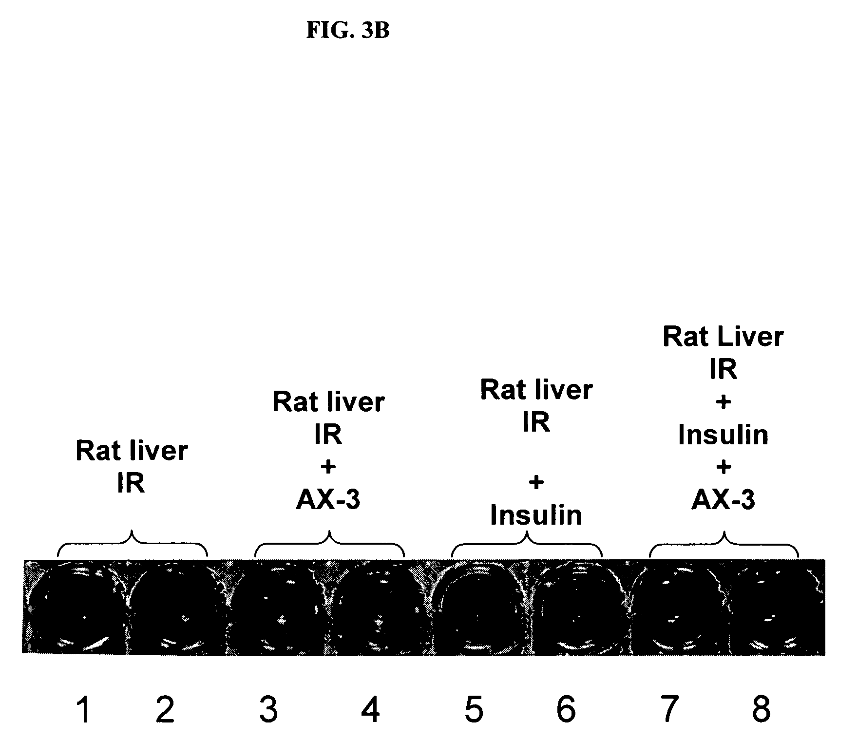 Compositions and methods for treating or preventing overweight or obesity with zinc-charged protein fragments