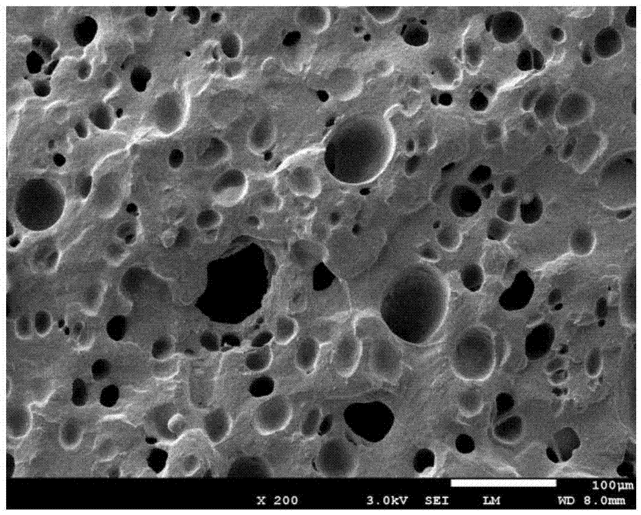 Chlorosulfonated polyethylene microporous foam material and method for preparing same
