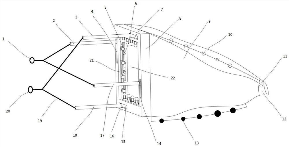 Creseis acicula light-induced trawl net