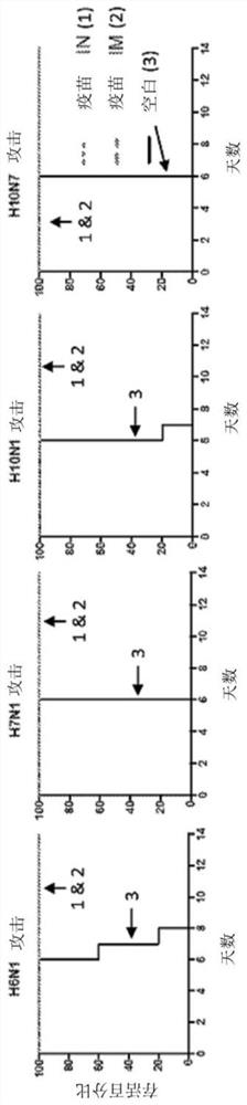 Broadly protective inactivated influenza virus vaccine