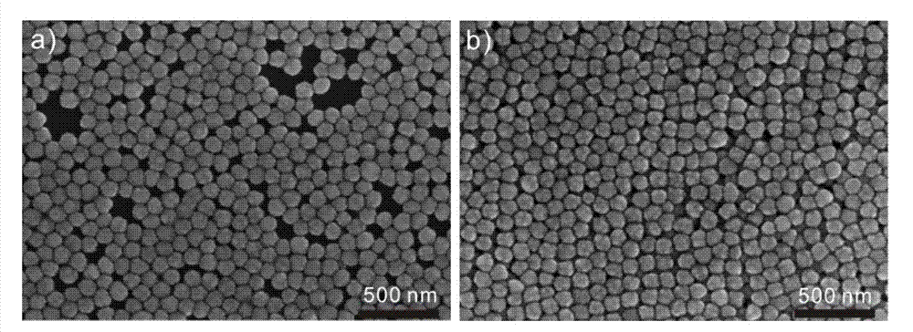 A kind of surface treatment method of surface-enhanced Raman spectroscopy base material