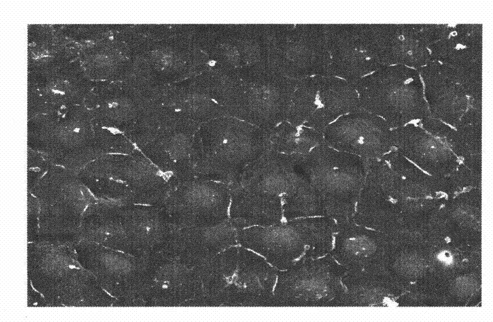 Corneal midterm preservation solution and preparation method thereof