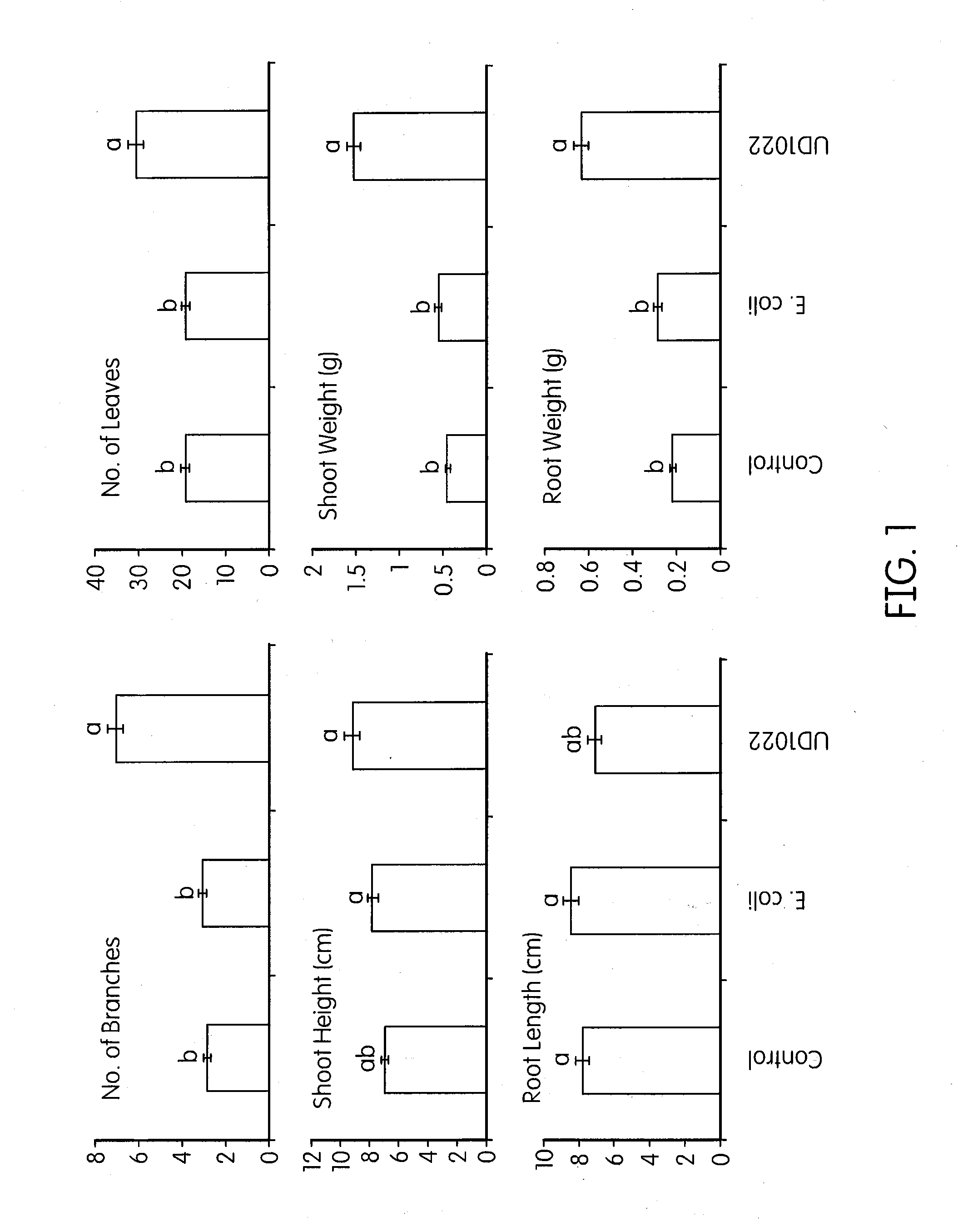 Compositions and methods for increasing biomass, iron concentration, and tolerance to pathogens in plants