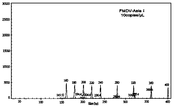 Primers and kit for detecting Asia1-type foot-and-mouth disease virus and preparation method of primers and kit