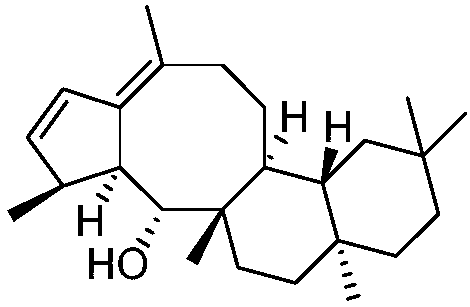 Marine microorganism derived sesterterpene Asperterpinol B derivative and synthesis method as well as application of saccharidase