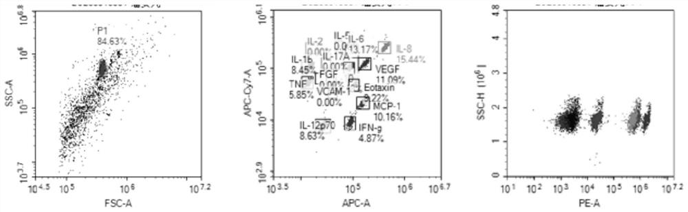 Intraocular fluid cytokine detection reagent, detection method and application