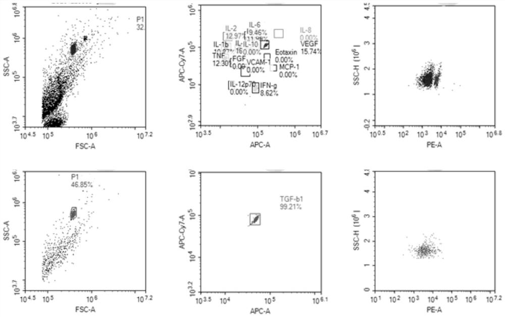 Intraocular fluid cytokine detection reagent, detection method and application