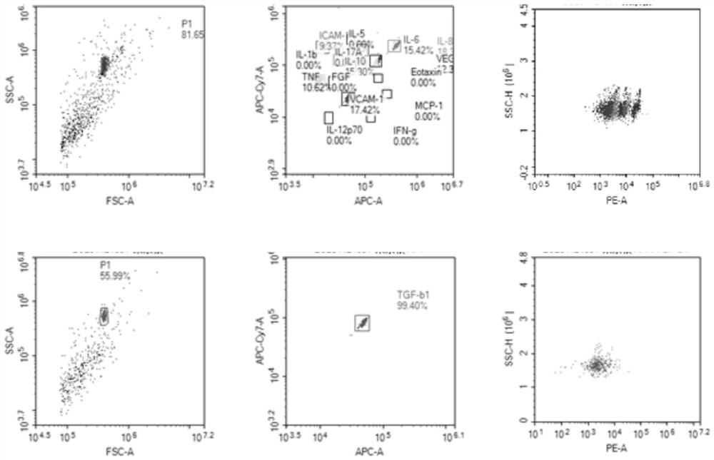 Intraocular fluid cytokine detection reagent, detection method and application