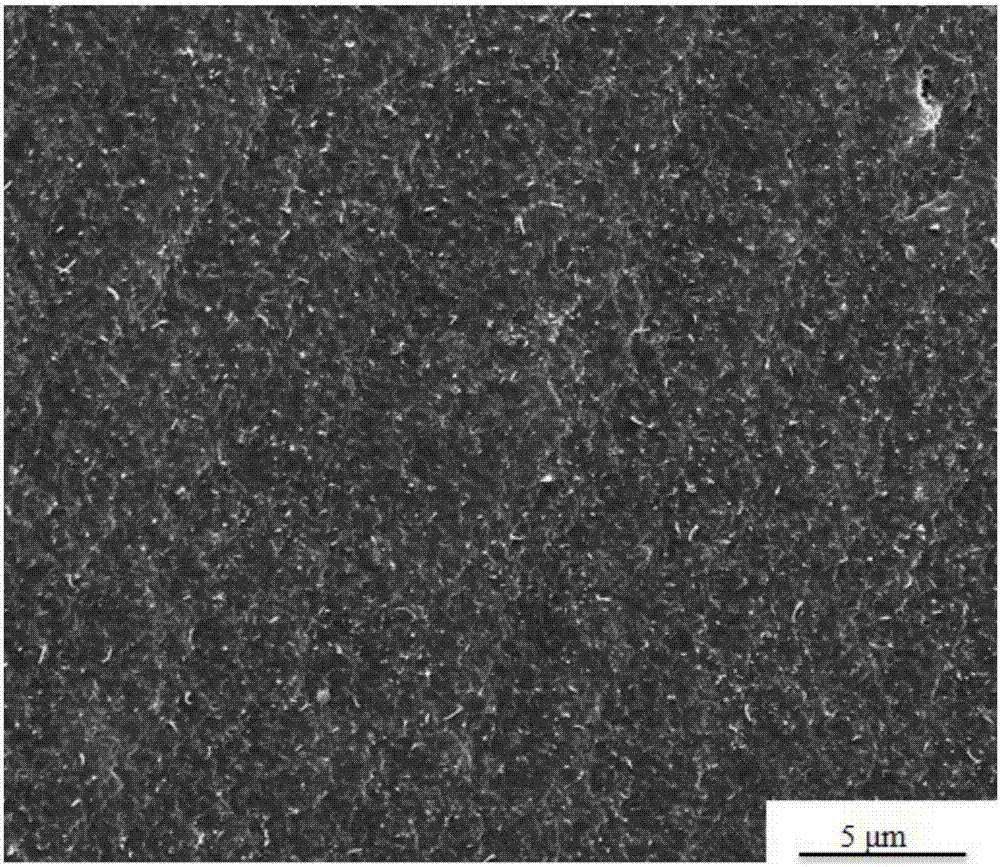A kind of polyolefin-based conductive and dielectric composite material and preparation method thereof