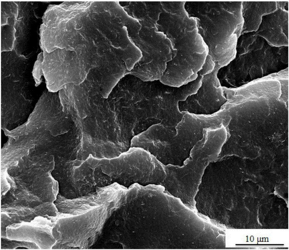 A kind of polyolefin-based conductive and dielectric composite material and preparation method thereof