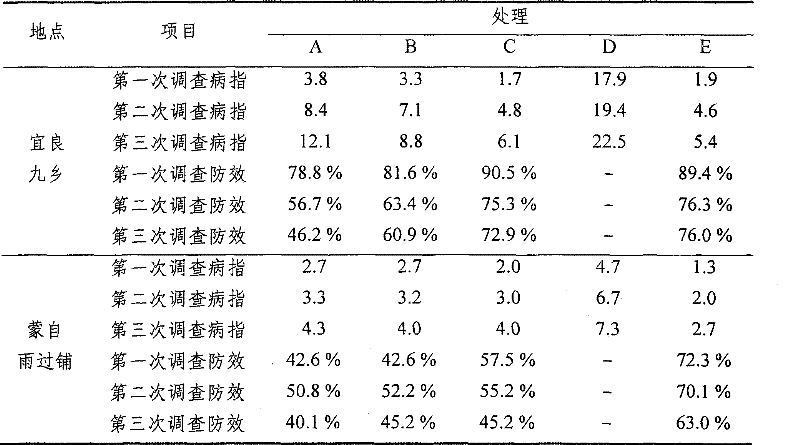 Bacillus licheniformis agent for preventing and treating black shank and preparation method thereof