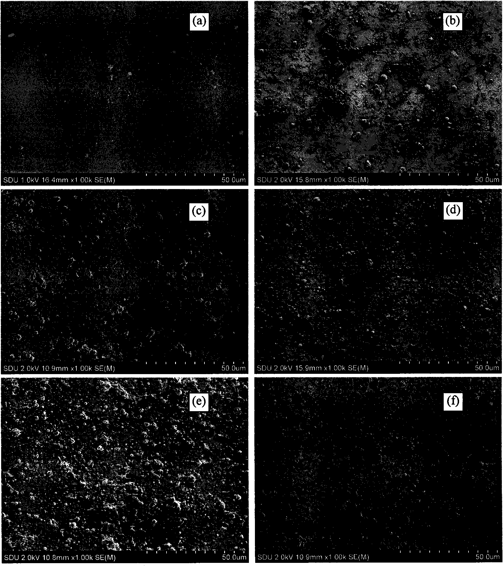 Hydroxylapatite-bioglass film and preparation technology thereof