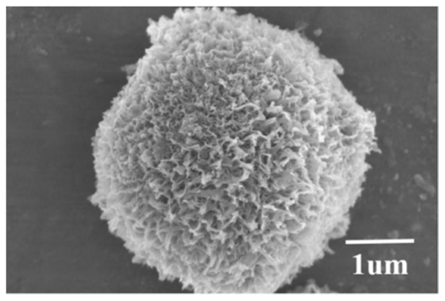 Preparation method of sea urchin-shaped titanium dioxide multistage microsphere negative electrode material