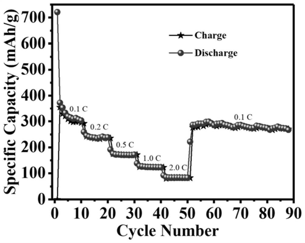 Preparation method of sea urchin-shaped titanium dioxide multistage microsphere negative electrode material