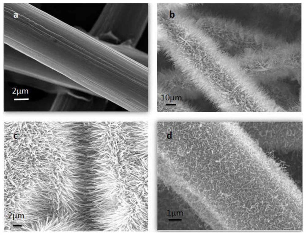 Carbon nanotube-loaded carbon paper and its preparation method and application