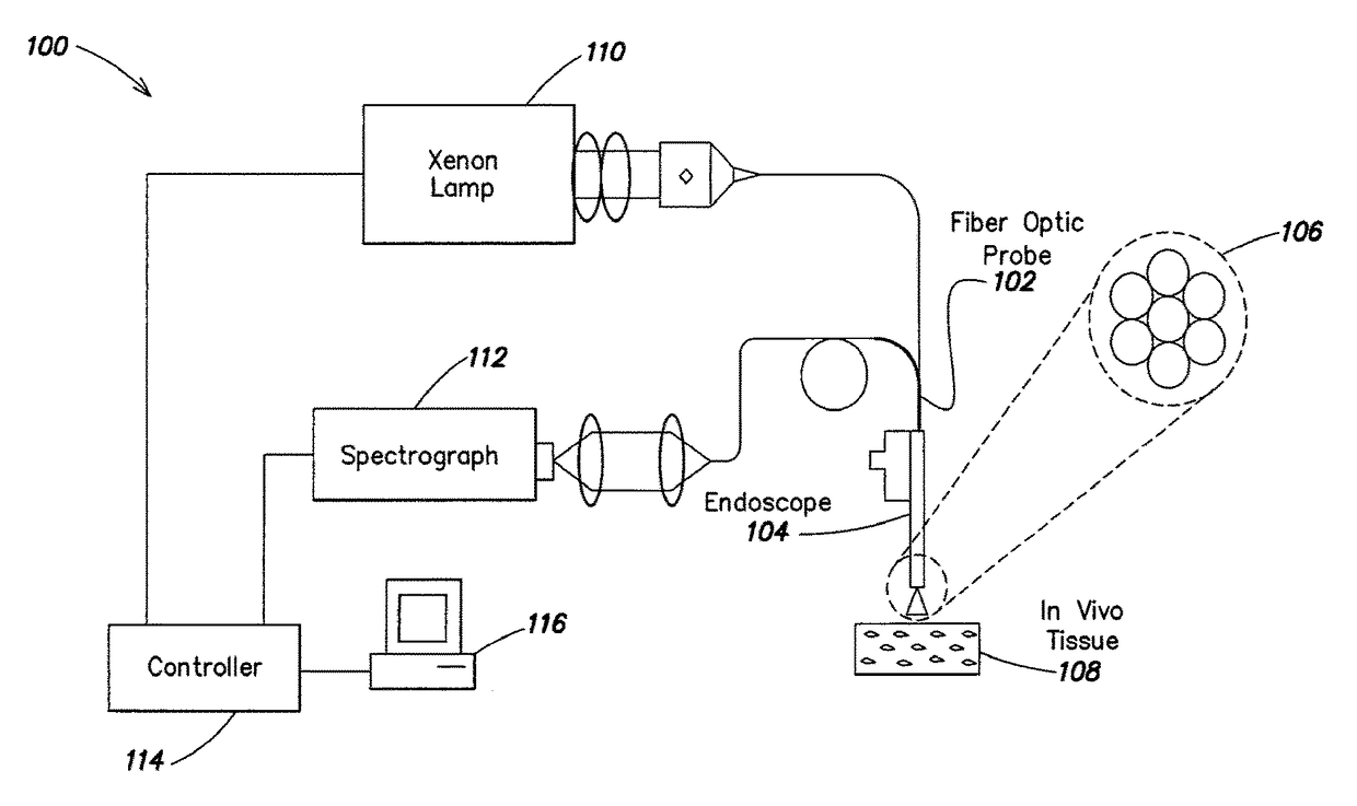 Endoscopic polarized multispectral light scattering scanning method