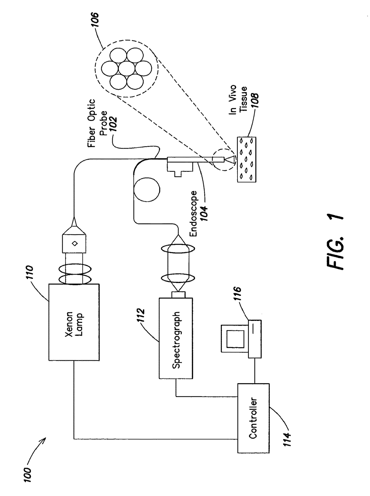 Endoscopic polarized multispectral light scattering scanning method