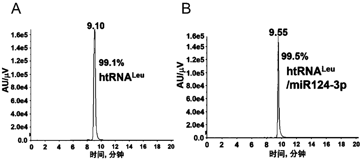 Biological recombinant miR124-3p capable of effectively suppressing osteosarcoma growth