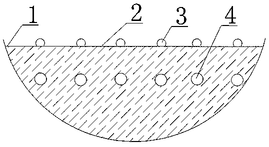 Cultivation method of nutrient-rich carrot