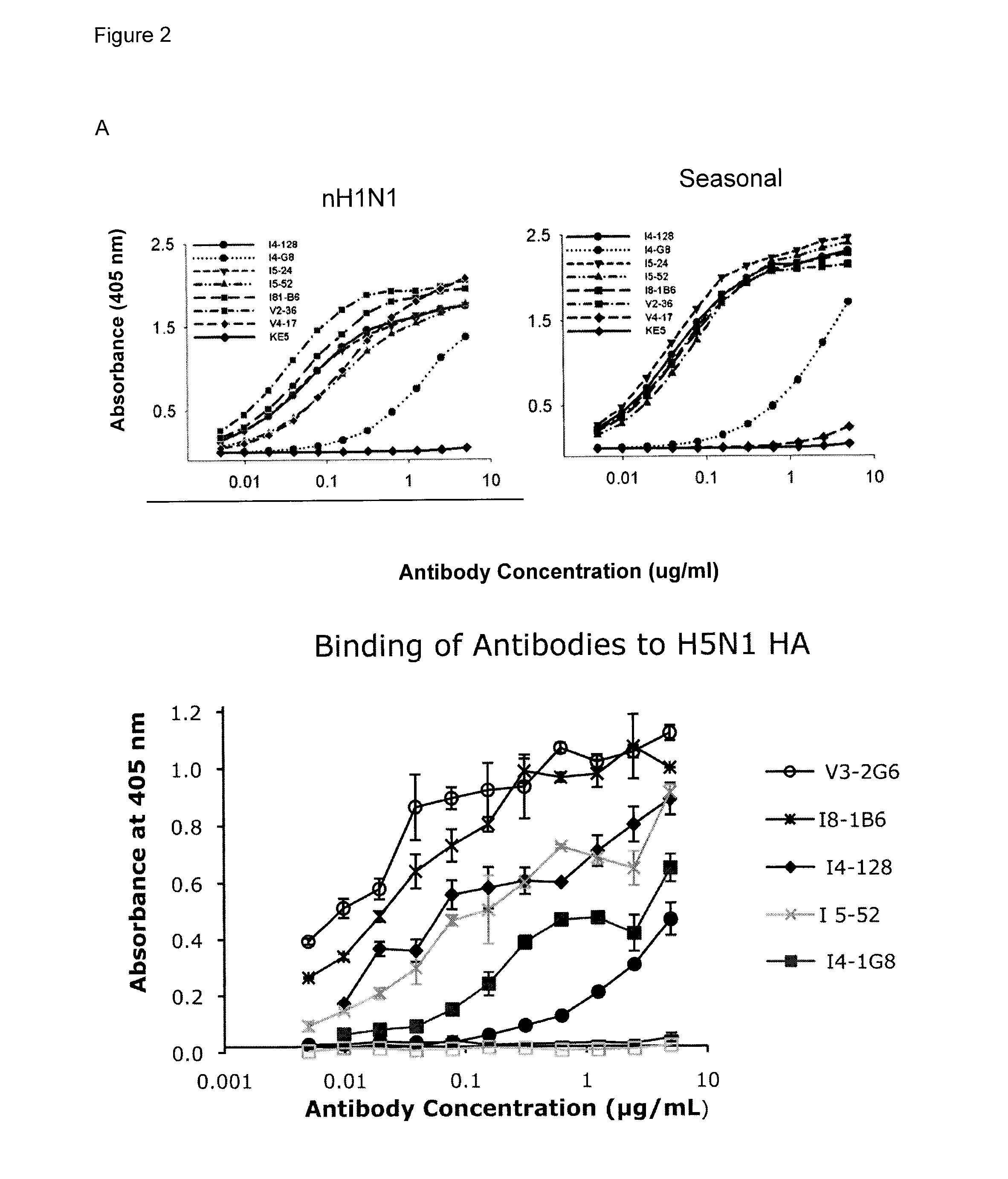 Cross-protective pathogen protection, methods and compositions thereof