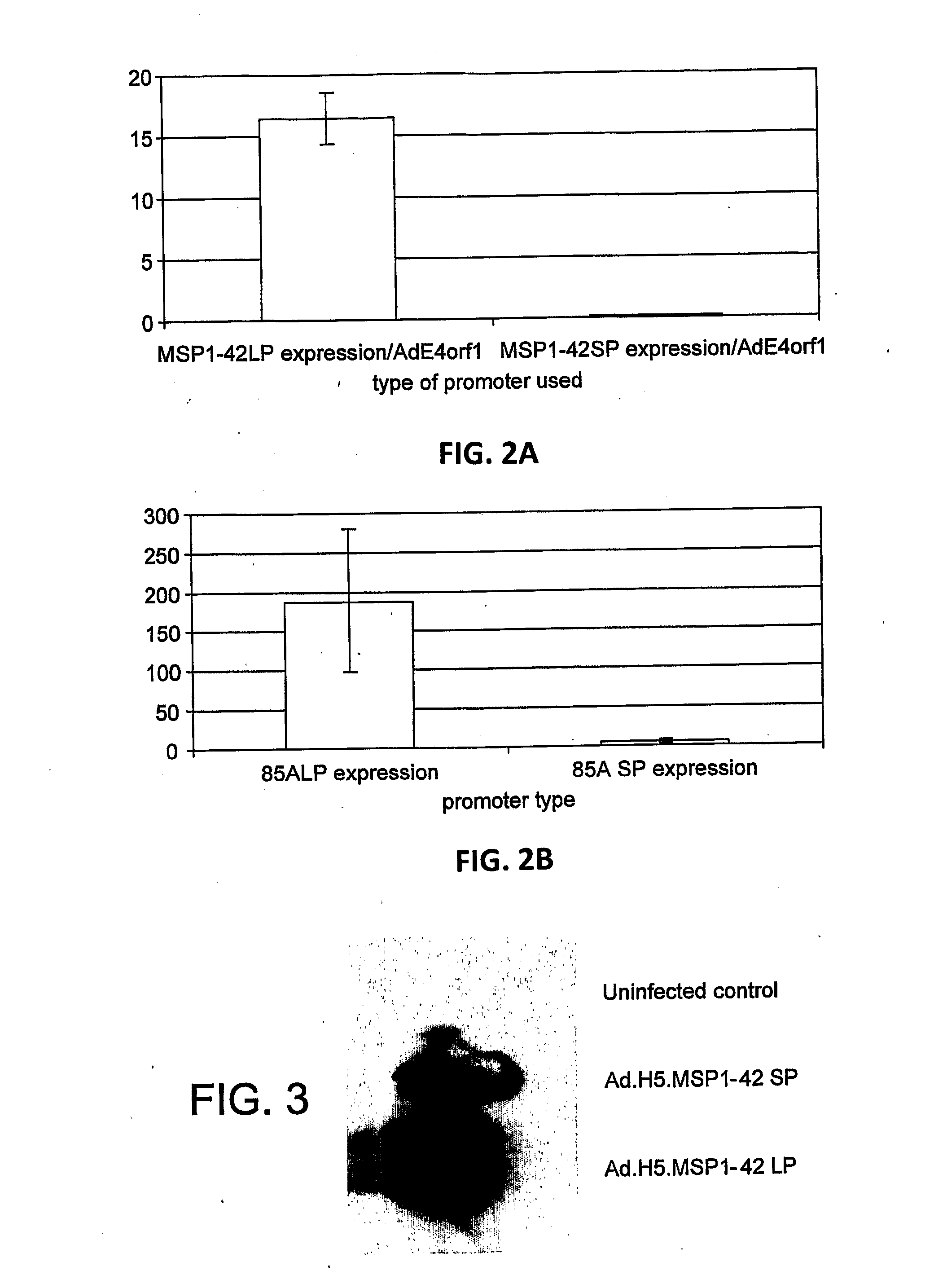 Novel Adenovirus Vectors