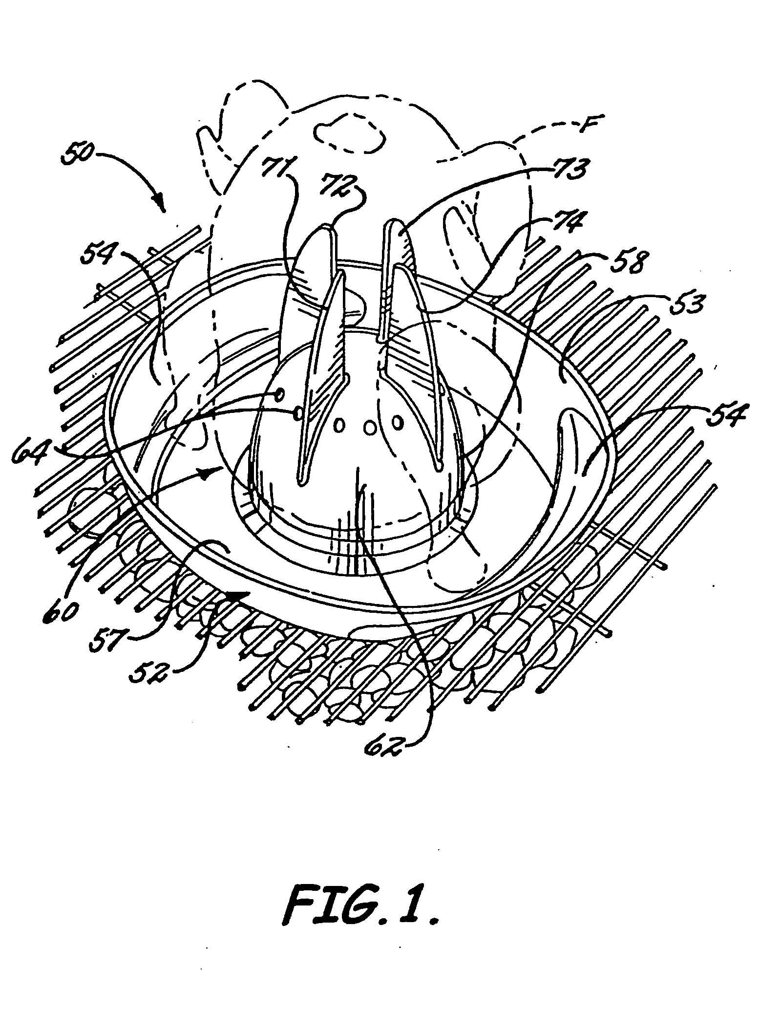 Apparatus for cooking meat