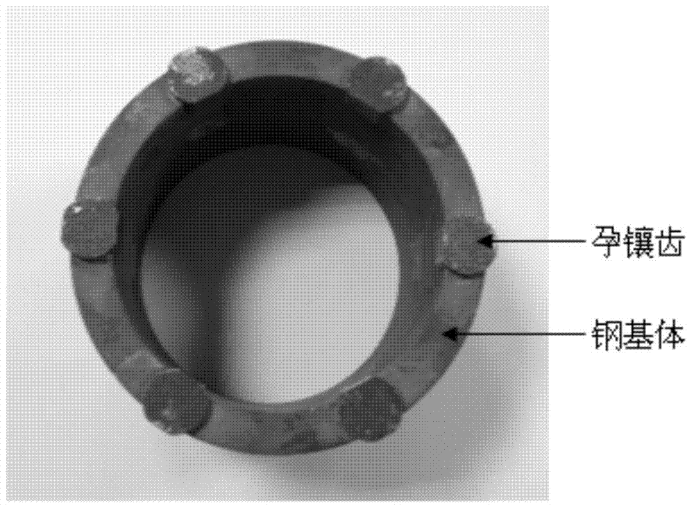 Impregnated tooth applicable to high-abrasiveness hard formation and preparation method thereof