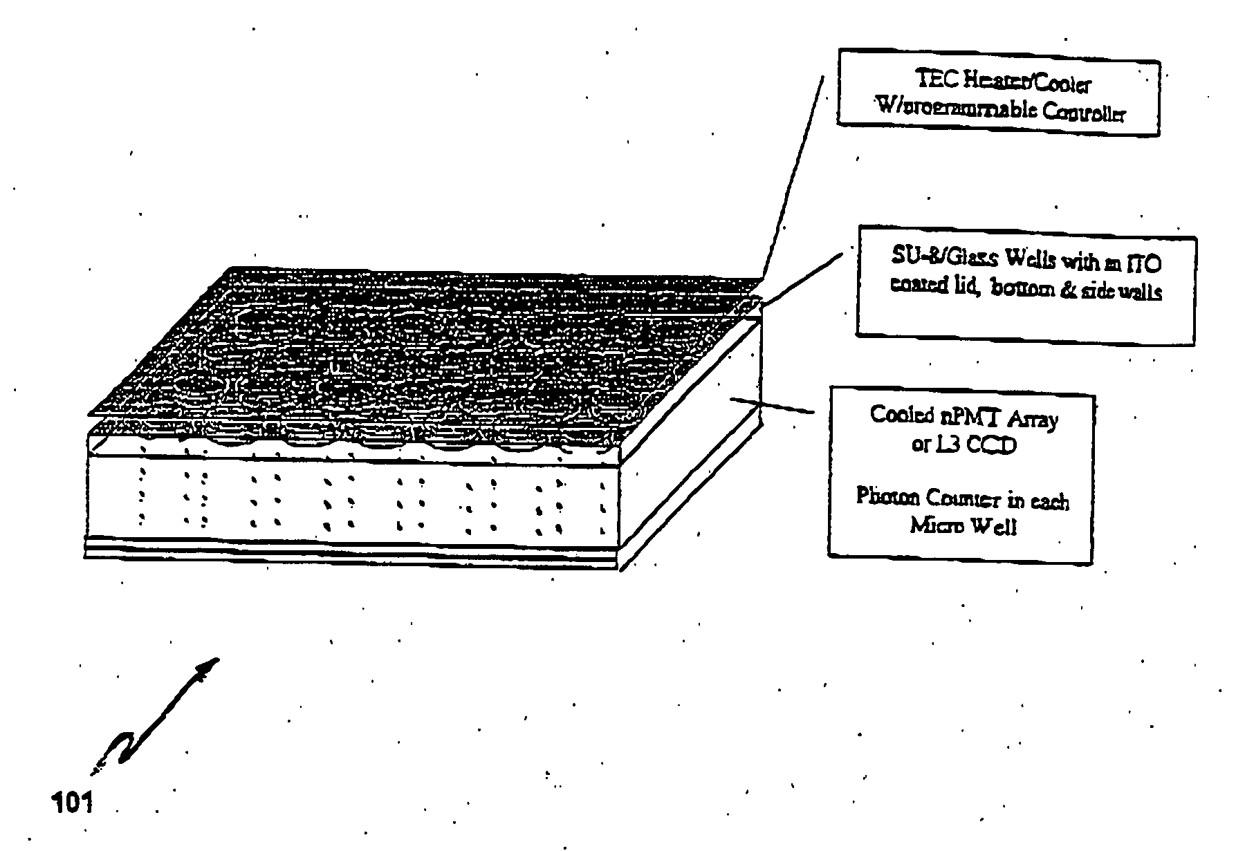 Apparatus and method for multiplex analysis