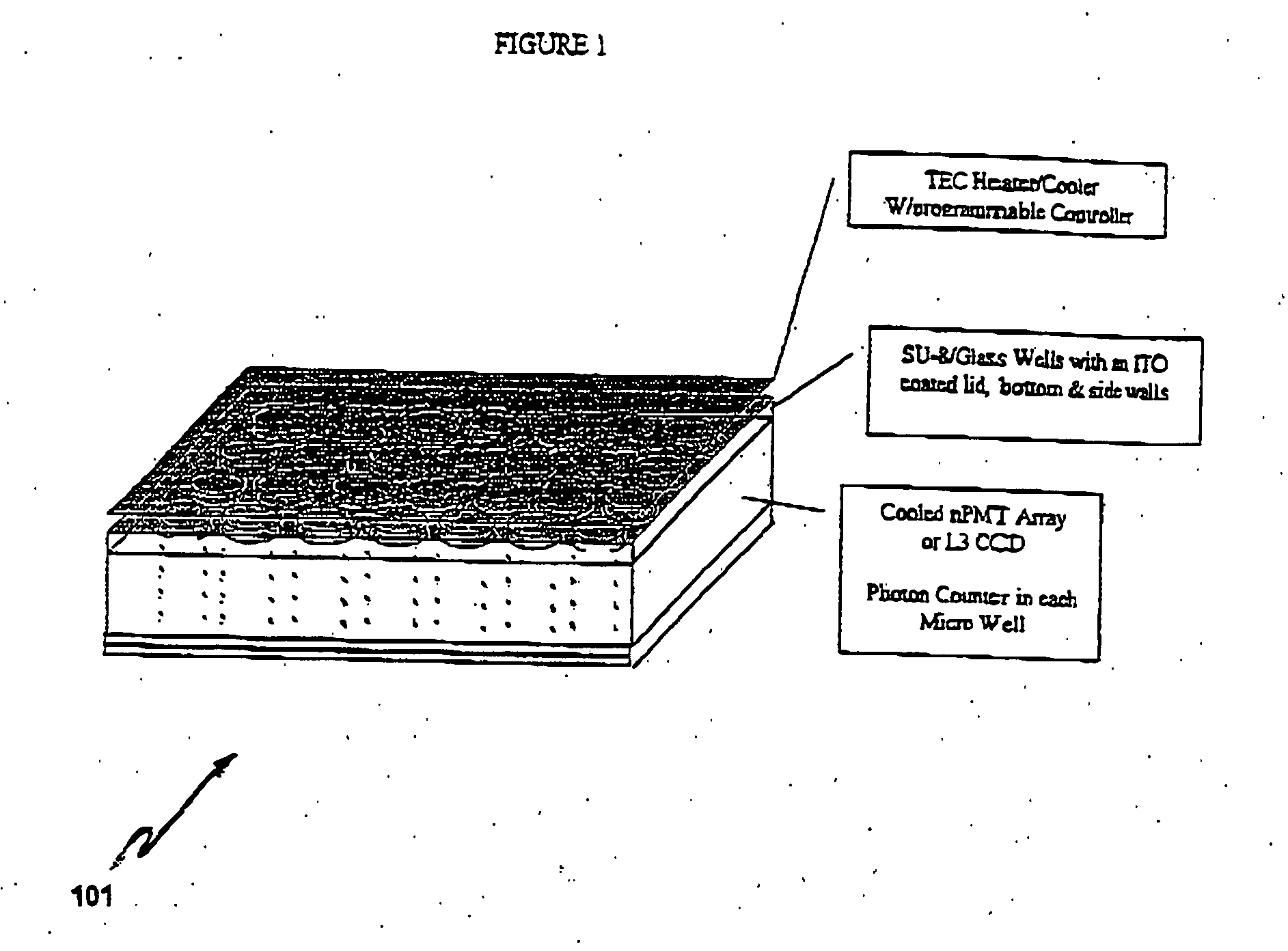 Apparatus and method for multiplex analysis