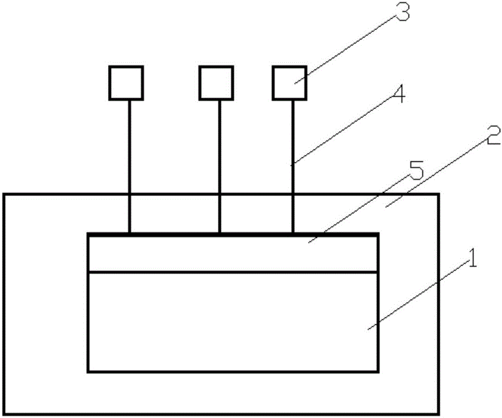 Oil well temperature monitoring device