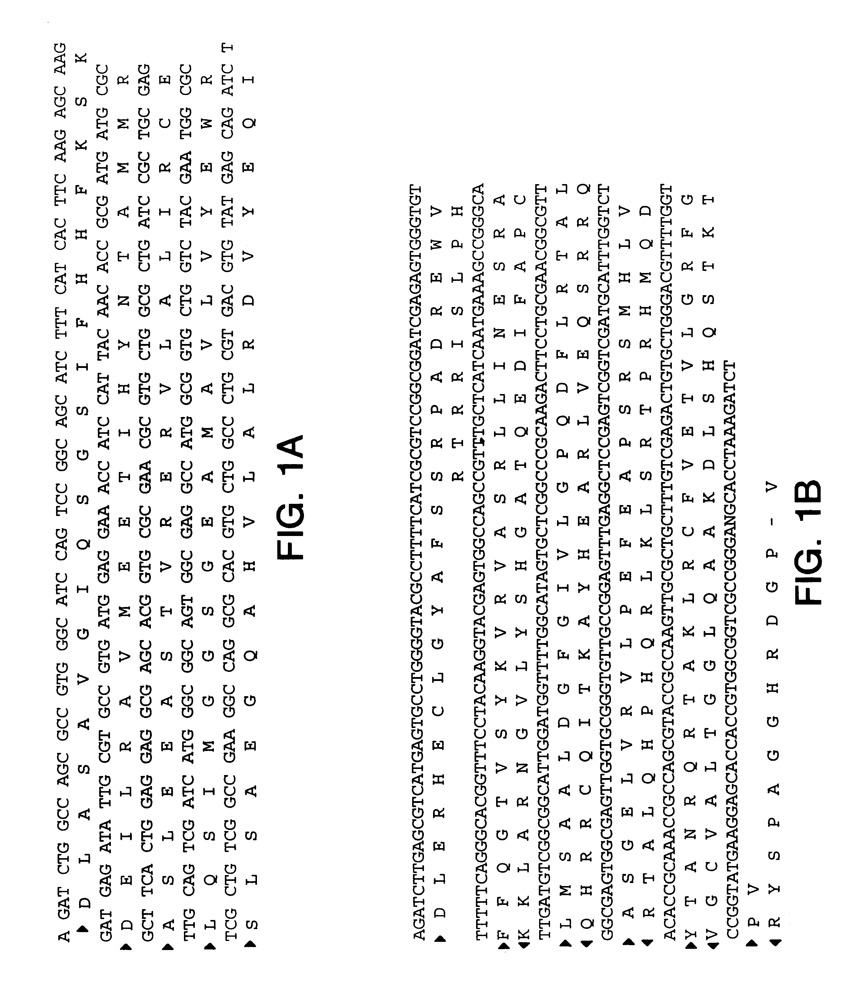 IBD-associated microbial antigens and methods of using same