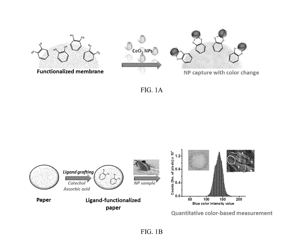 Functional platform for rapid capture and removal of nanoparticles