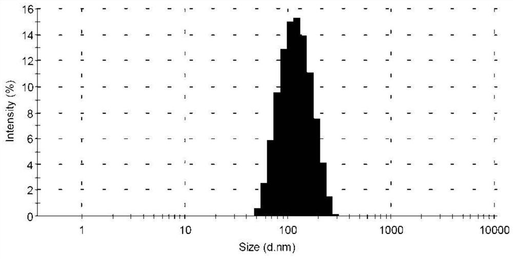 A tetrazinedicarboxamide liposome preparation and preparation method thereof