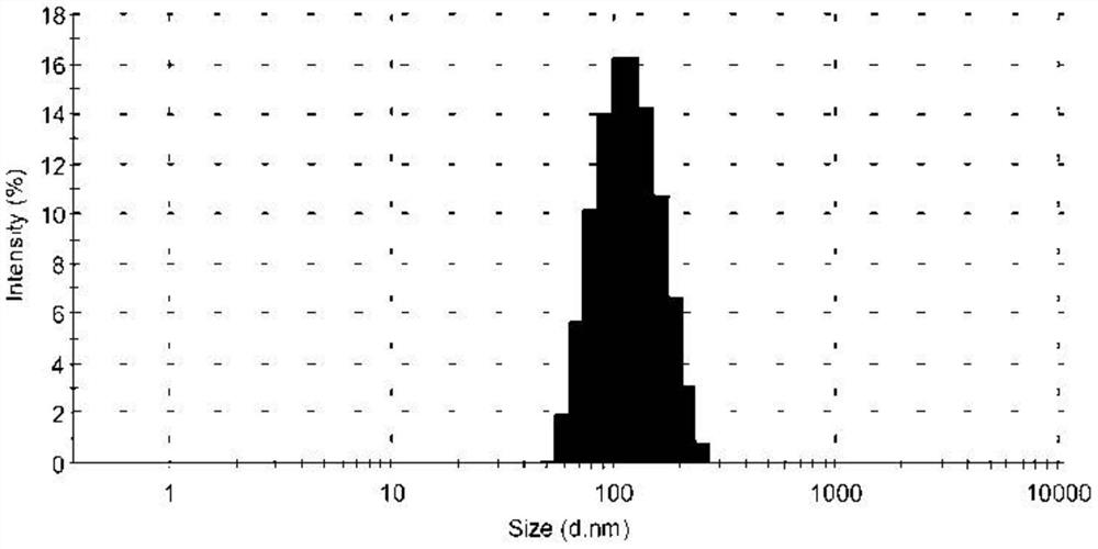 A tetrazinedicarboxamide liposome preparation and preparation method thereof