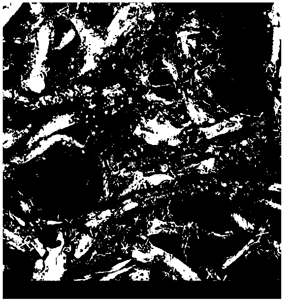 Method for preparing loaded nano zinc oxide functional filter paper