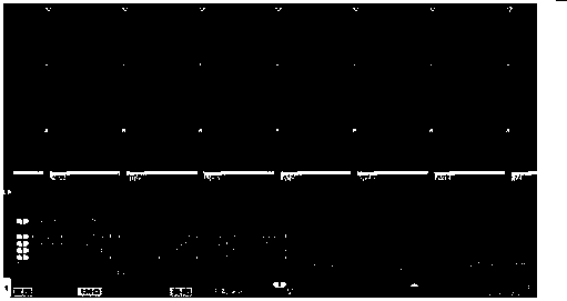 A camera module signal wiring method