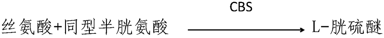 Homocysteine diagnostic test kit with strong anti-interference ability