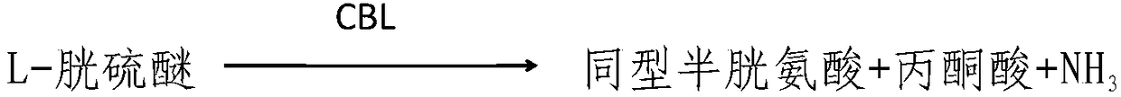 Homocysteine diagnostic test kit with strong anti-interference ability