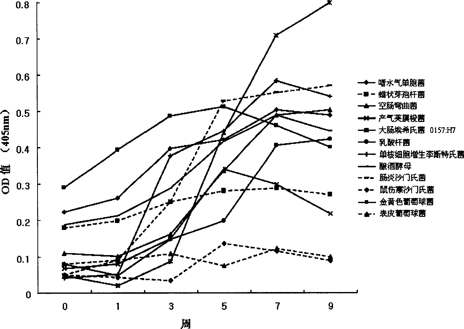 Growth inhibitory composition against pathogenic bacteria of meat based food stuff comprising igy