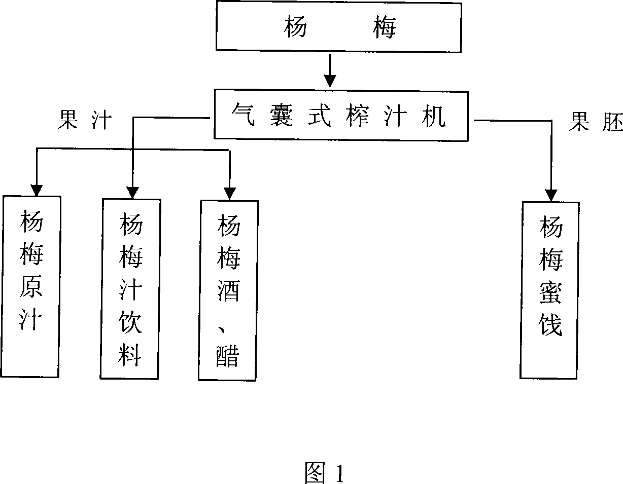 Processing method entirely using fruit juice and fruit embryo of waxberry