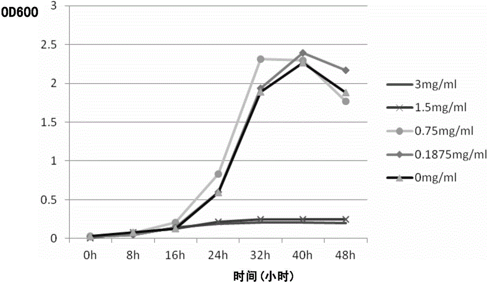 Method for using lactoferrin for treatment or prevention of helicobacter pylori infection