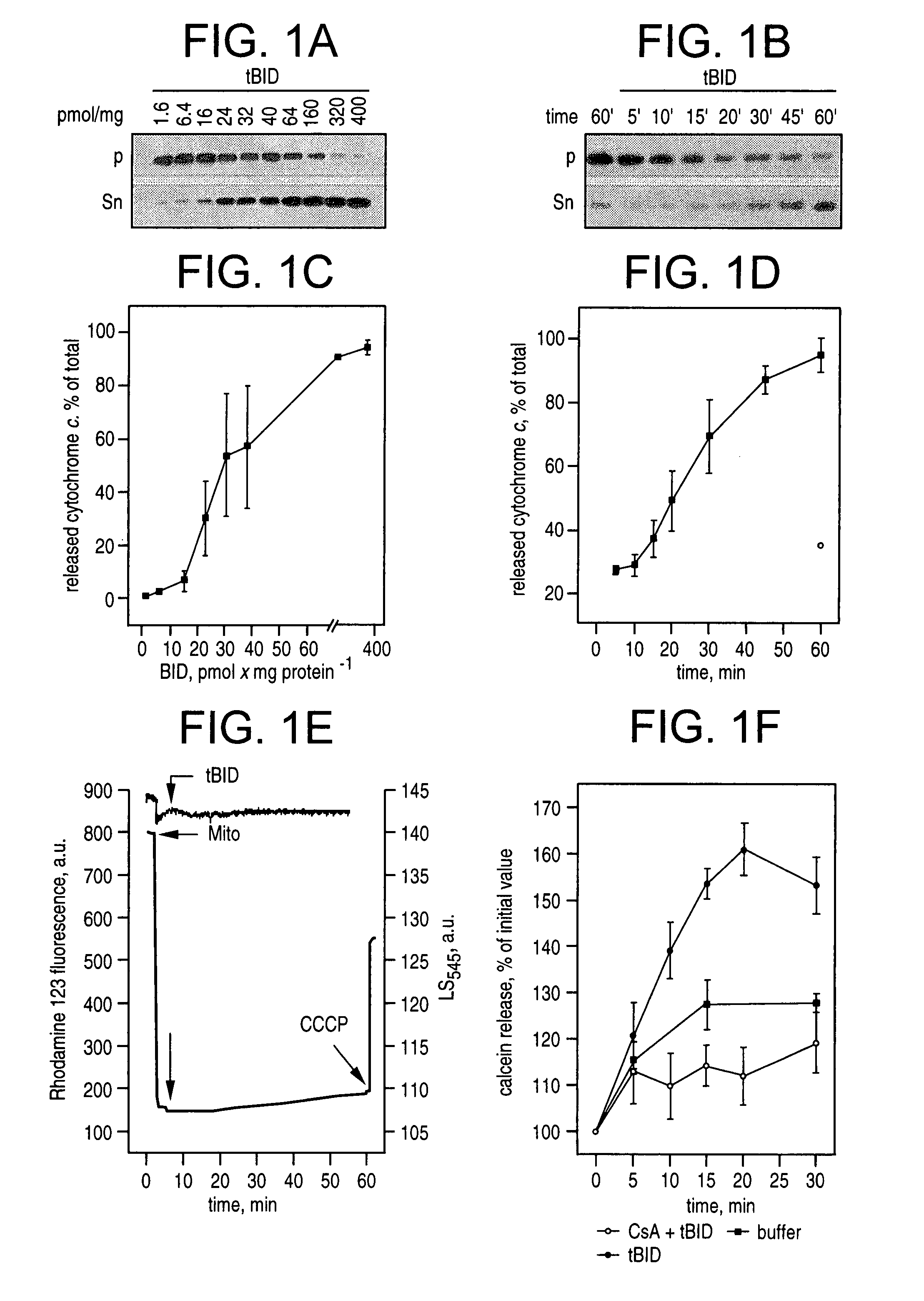 Method of treating apoptosis and compositions thereof