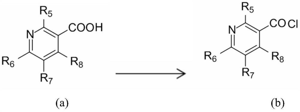 Capsaicin-containing nicotinic acid derivative, preparation method and use thereof