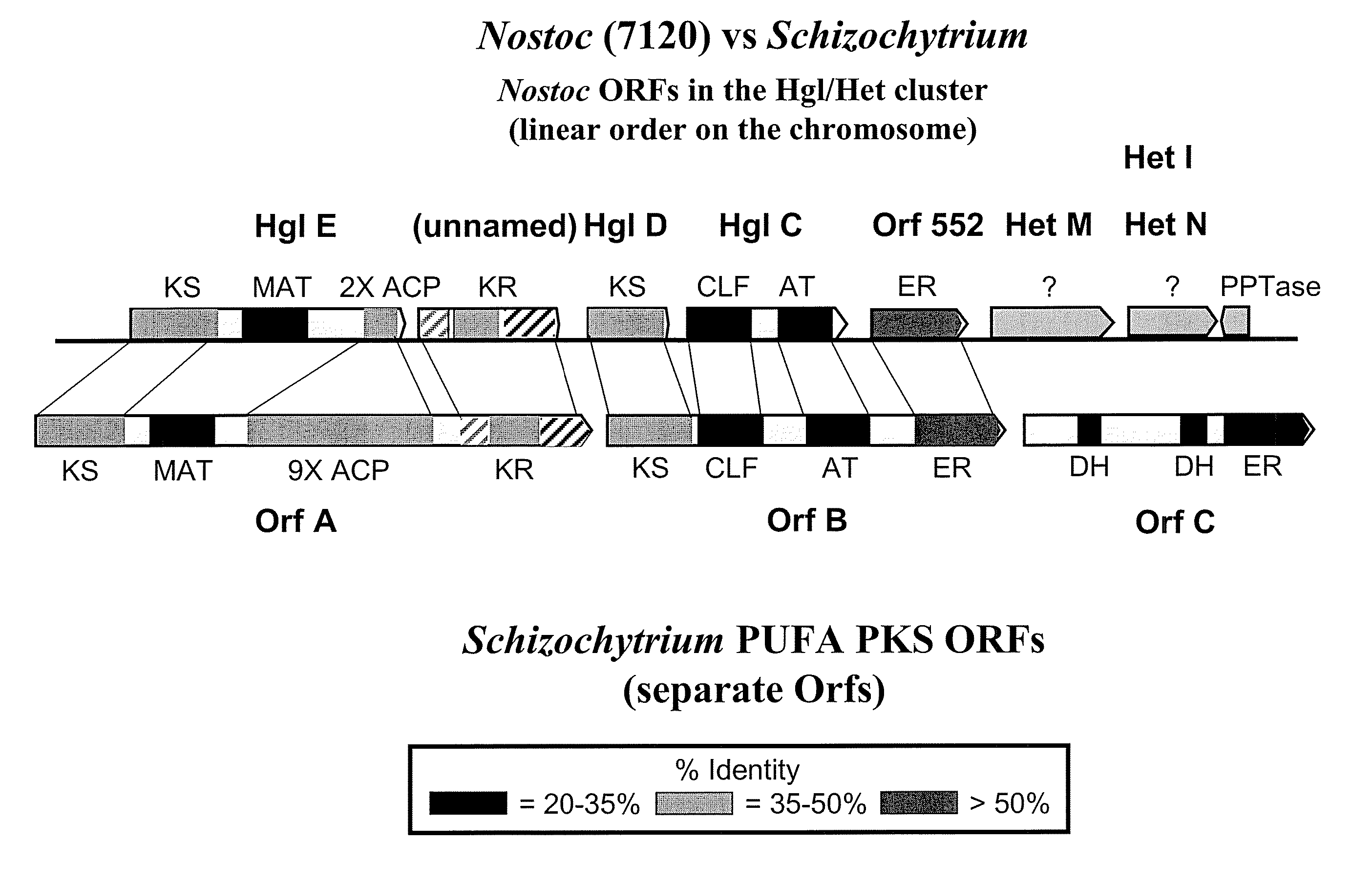 Pufa polyketide synthase systems and uses thereof